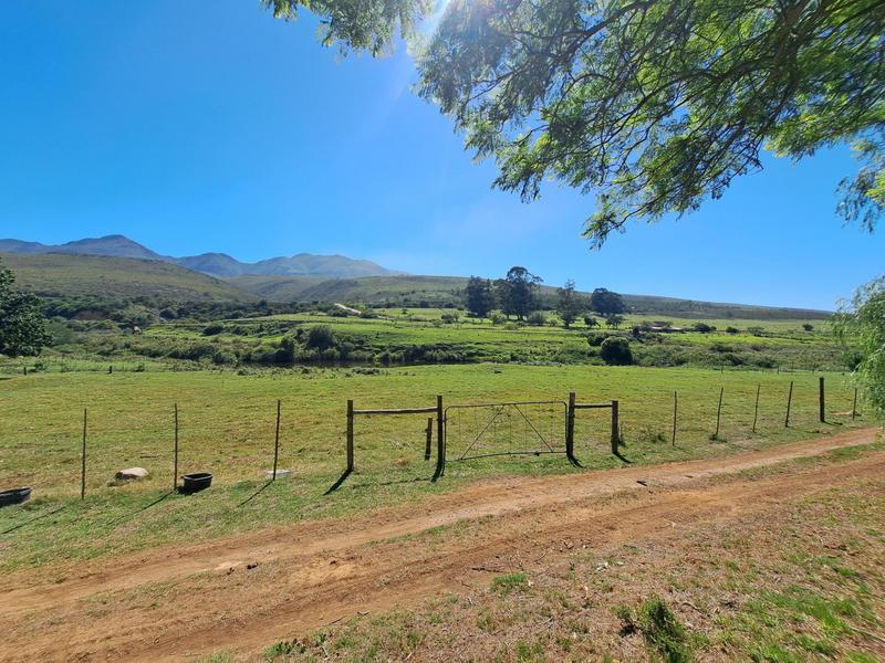 0 Bedroom Property for Sale in Kareedouw Eastern Cape